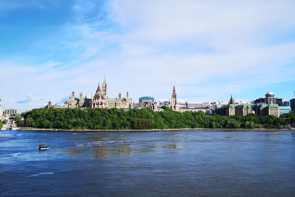 Cadcan case management platform portal on screen