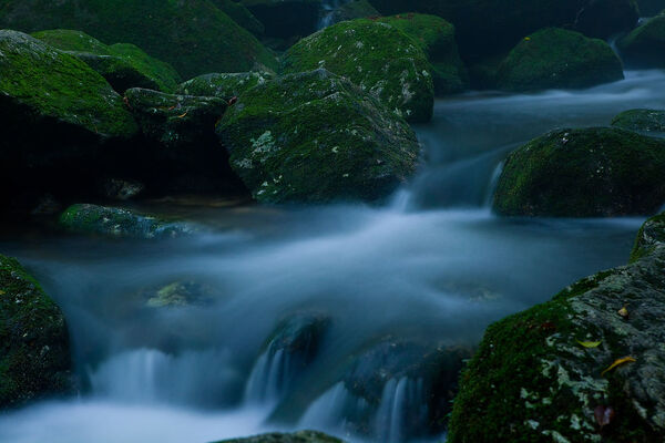 Dental lab technician refining a prosthetic restoration